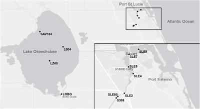 Short Term Effects of Hurricane Irma and Cyanobacterial Blooms on Ammonium Cycling Along a Freshwater–Estuarine Continuum in South Florida